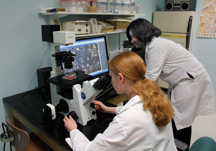 Biotechnology students work in the lab.